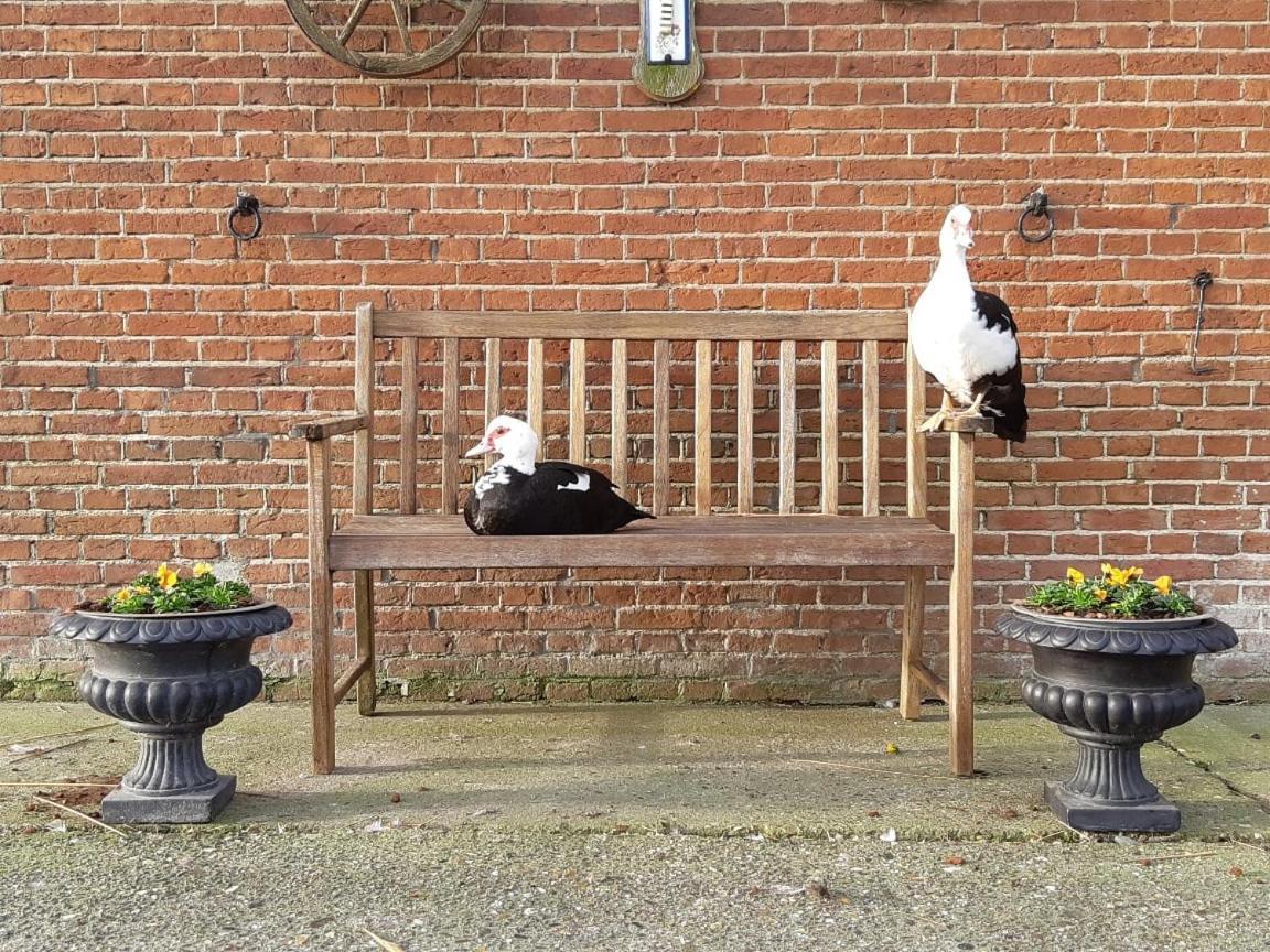 Willa Wol Thus Paesens Zewnętrze zdjęcie